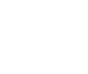 WLV_white_icon_website_11.17.2025 Wanda's LV logo icon with butterfly all white.